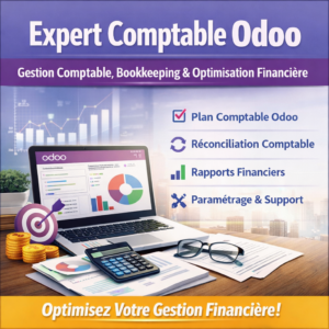 Gestion Comptable, Bookkeeping et Optimisation Financière